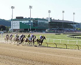 a group of jockeys racing horses