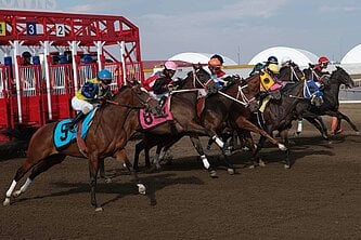 jockeys racing horses on a track