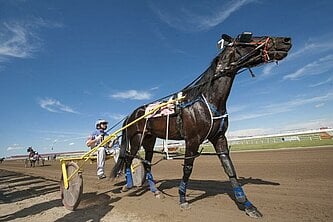 a person riding a horse cart